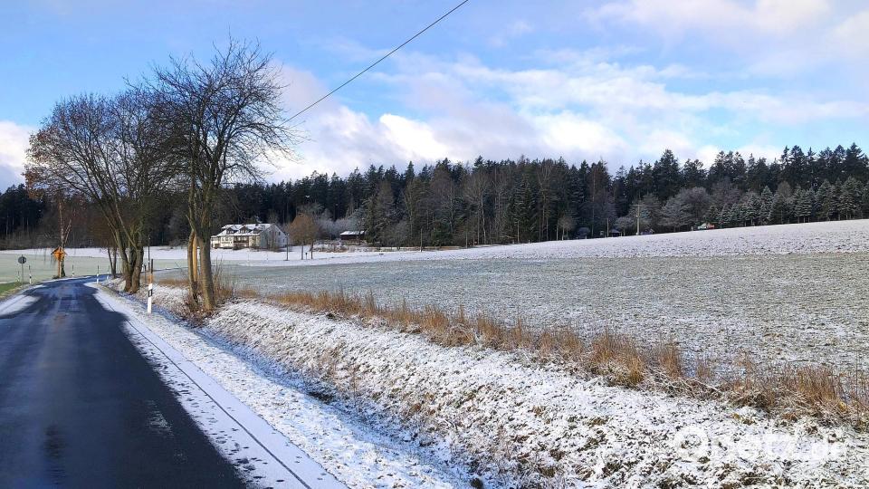 Keine Windräder soll es nach Ansicht des Marktrats Fuchsmühl im westlichen Teil der Gemeinde im Naturpark Steinwald geben. Bild: wro
