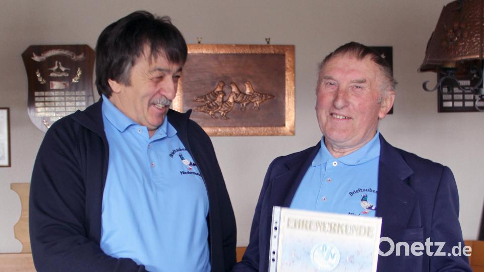 Eine besondere Ehrung erfuhr Anton Stigler. Regionalverbandsvorsitzender Willibald Pirzer überreichte ihm die goldene Ehrennadel mit Urkunde für 50 Jahre Mitgliedschaft im Verband Deutscher Brieftaubenzüchter. Bild: Josef Böhm/exb