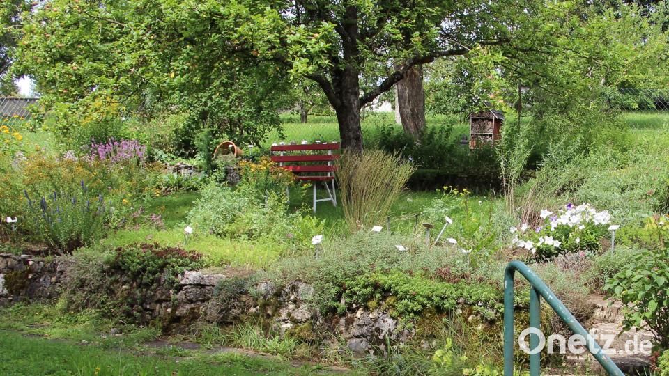Der Kräutergarten, den Mitglieder und Helfer des Gartenbauvereins Schmidtstadt und Umgebung gepflegt haben, wird im Lauf des Jahres aufgelöst. Archivbild: ds