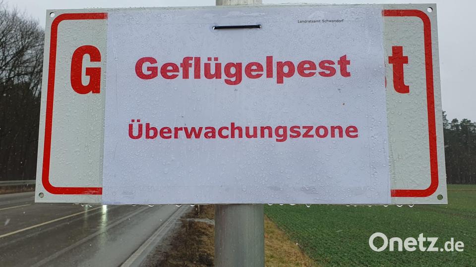 Die Allgemeinverfügung des Landratsamts Schwandorf zur Geflügelpest ist aufgehoben. Bild: Hösamer
