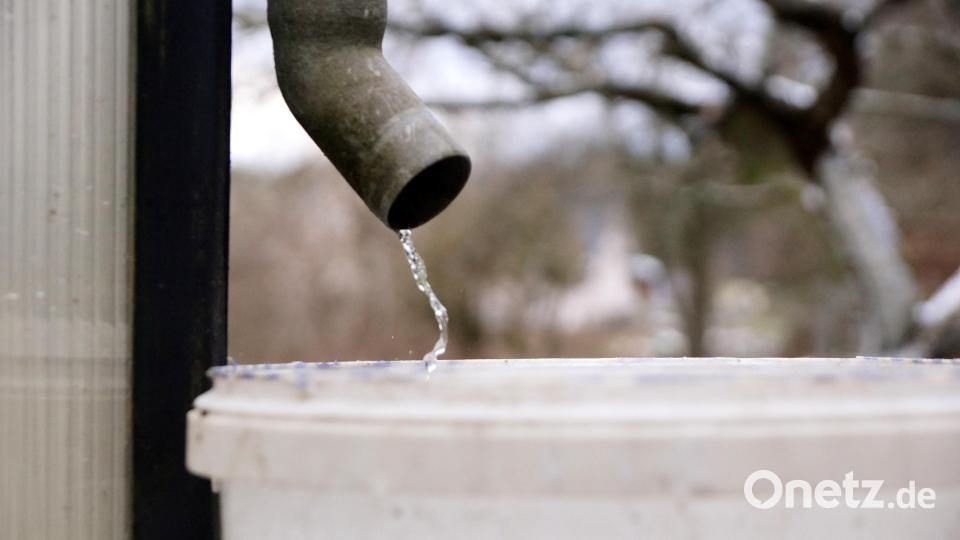 Wird das Wasser knapp? Alleine mit einem Eimerchen am Abflussrohr eines Gewächshauses wird es angesichts der aktuellen Entwicklung und der Erfahrung aus dem vergangenen Jahr nicht mehr getan sein, um ausreichend Wasser für die Bewässerung des Gartens zu sammeln. Bild: bkr