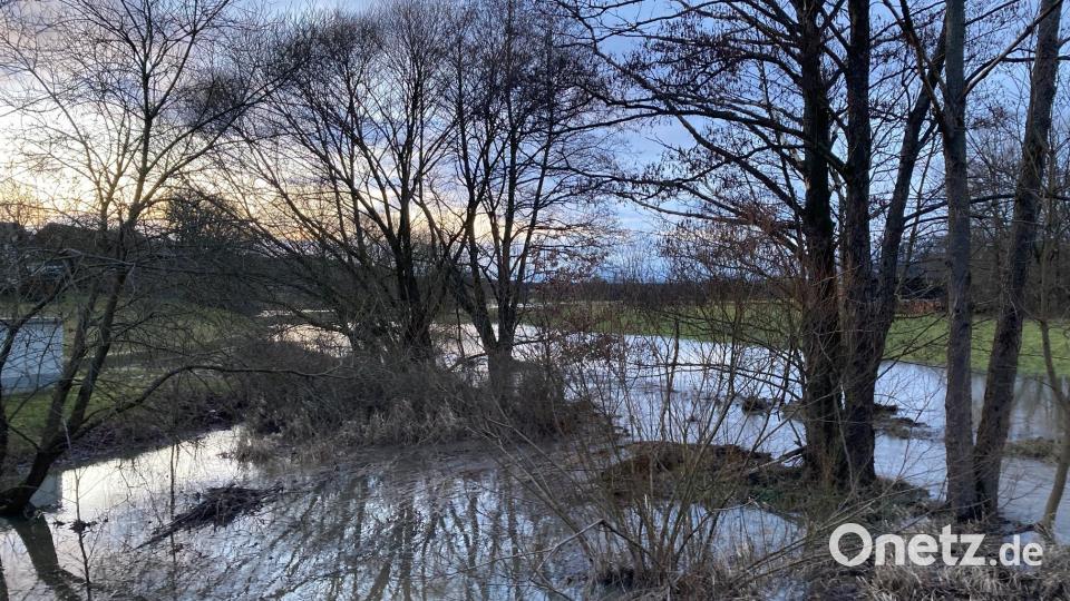 Die geflutete Wiese, die das Wasser von den Haidenaabwindungen beim Schloss Wolframshof bekommt, gibt ihr Wasser von der Seite wieder an den Fluss ab. Weiter hinten flutet es die Straße nach Weha. Bild: rpp