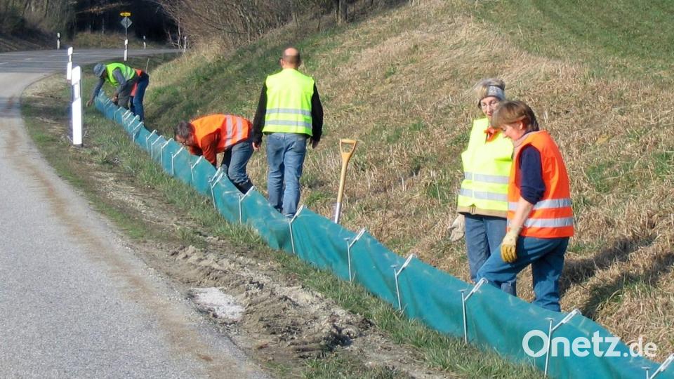 Entlang der Straße stellen die Helfer wieder Schutzzäune auf. Bild: Riederer/exb
