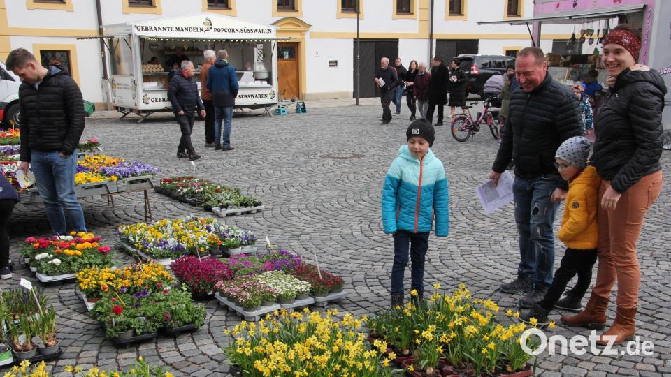 Die vielen blühenden Frühlingsblumen hatte es dieser Familie beim Josefi-Markt in Waldsassen angetan. Bild: kro