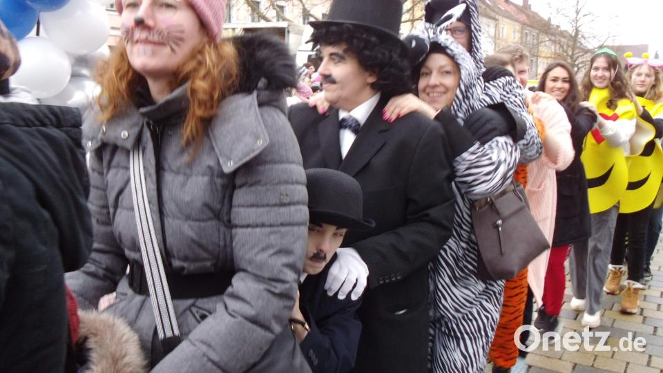 Schnappschüsse von der Weltrekordpolonaise in Hirschau. Bild: u