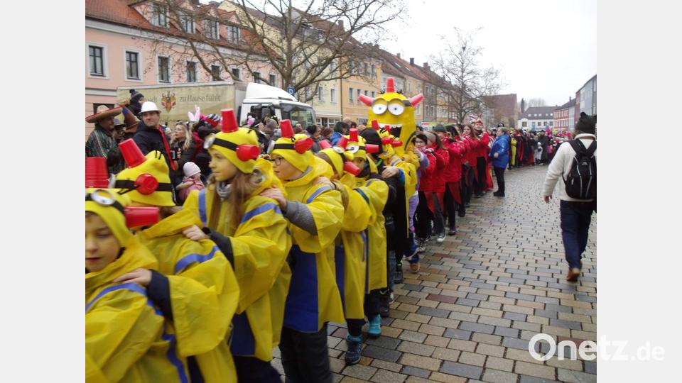 Schnappschüsse von der Weltrekordpolonaise in Hirschau. Bild: u
