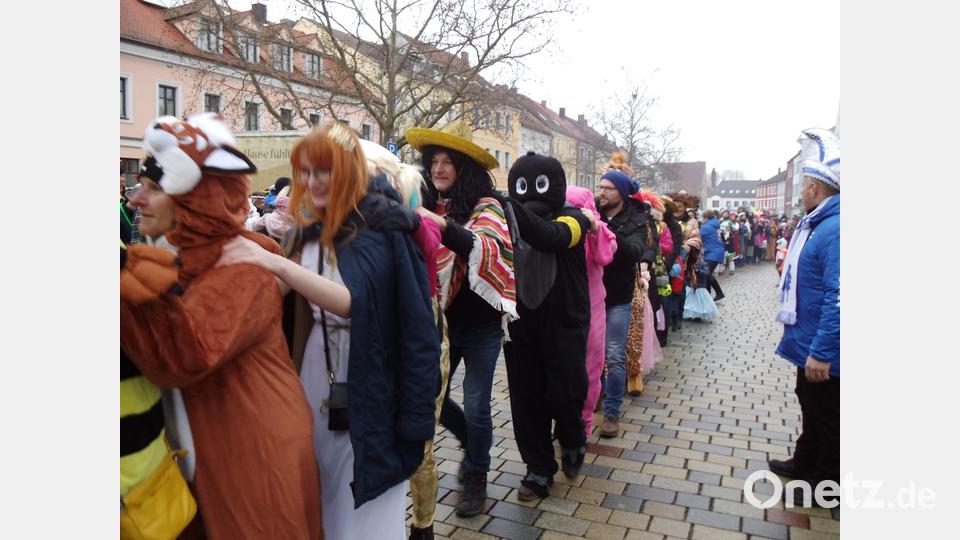 Schnappschüsse von der Weltrekordpolonaise in Hirschau. Bild: u