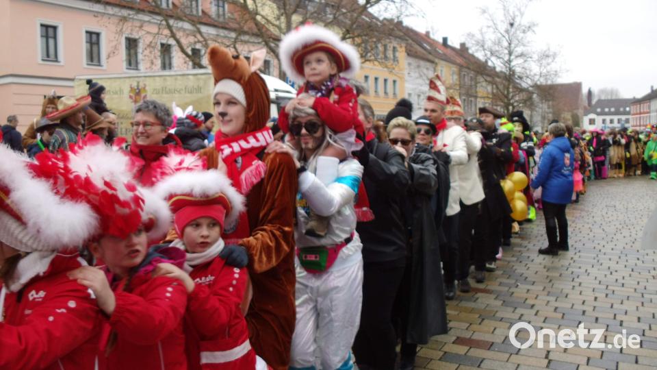 Schnappschüsse von der Weltrekordpolonaise in Hirschau. Bild: u
