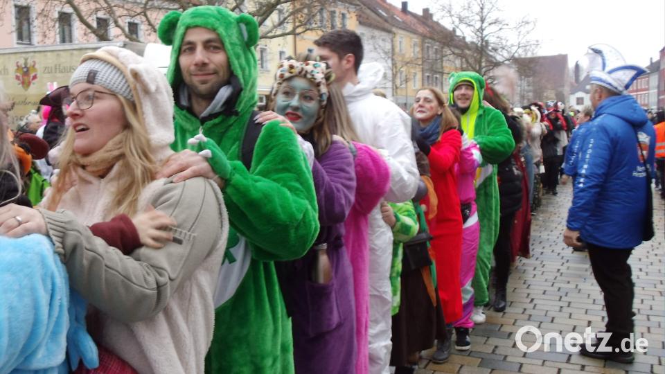 Schnappschüsse von der Weltrekordpolonaise in Hirschau. Bild: u