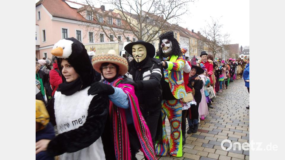 Schnappschüsse von der Weltrekordpolonaise in Hirschau. Bild: u