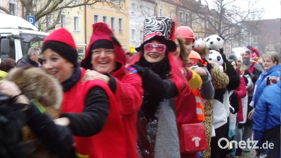 Schnappschüsse von der Weltrekordpolonaise in Hirschau. Bild: u