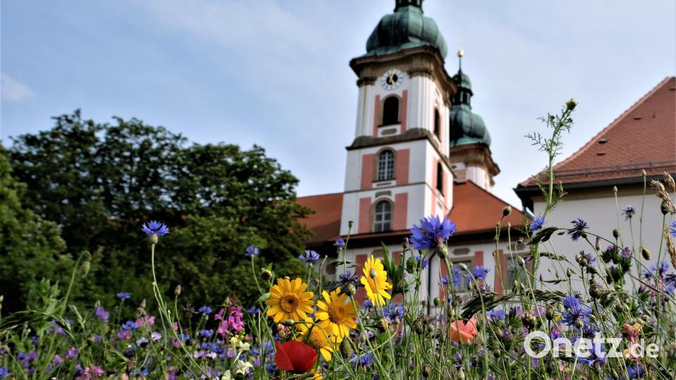 Speinshart soll blühen: Das Ziel einer wissenschaftlichen Einrichtung im und rund um das Prämonstratenserkloster rückt näher Bild: do