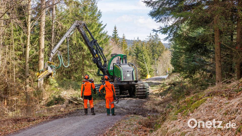 Andreas Schinner und Janis Schemm, Forstwirte bei den Bayerischen Staatsforsten, fällen gemeinsam mit einer Holzerntemaschine die Bäume auf der zukünftigen Pistenanbindung an der Mittelstation. Bild: Martin Hertel/exb
