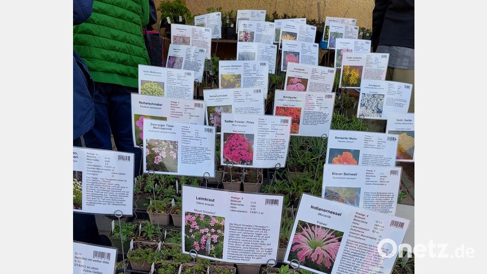 An der Staudenvielfalt mangelt es nicht. Bild: jua