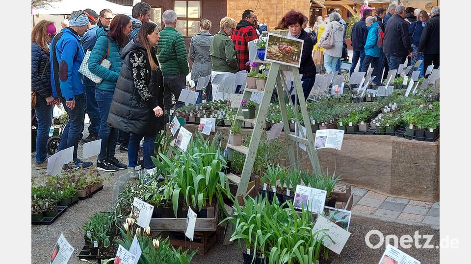Im Vorbeigehen an den Ständen der Aussteller kommen so manchem Besucher gute Ideen für den eigenen Garten. Bild: jua