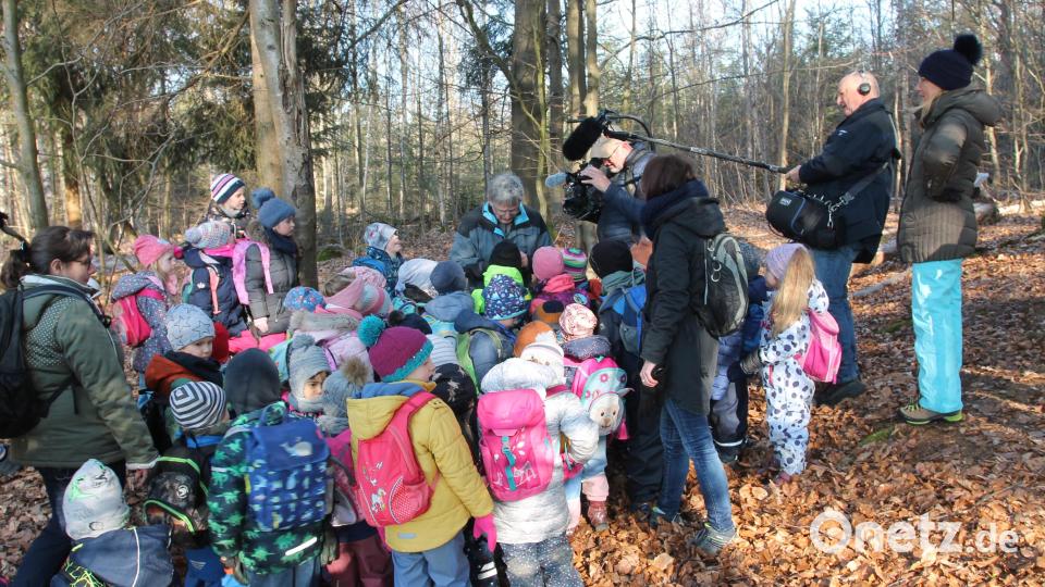 Während Manfred Janker (hinten, Mitte) Bucheckern erklärt, filmt das BR-Team. Bild: pi
