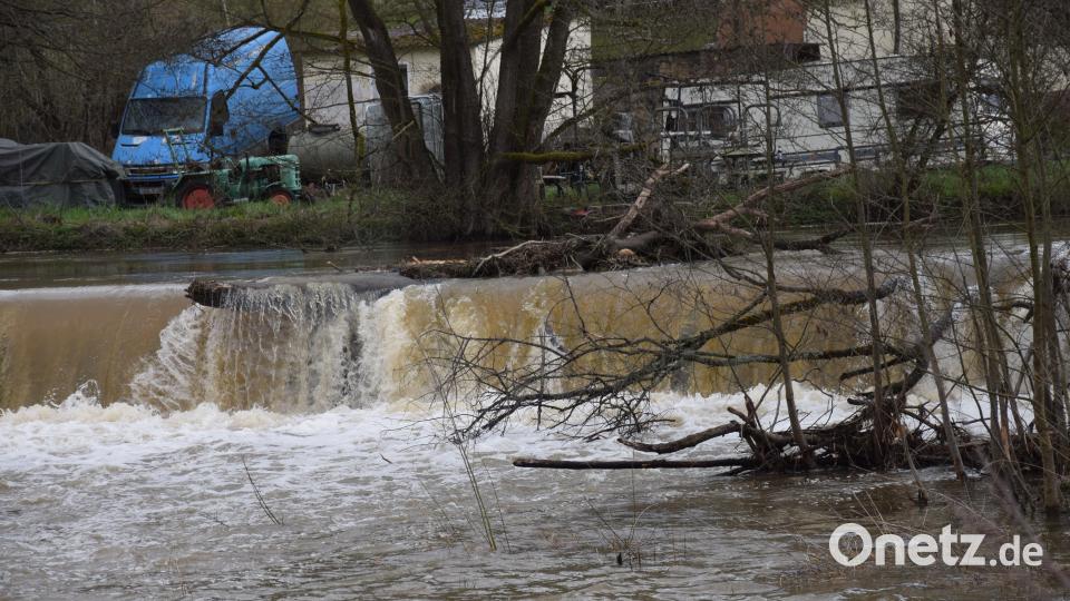 Sogar Bäume wurden in den Triebwerkskanal der Vils in Emhof geschwemmt. Bild: bö