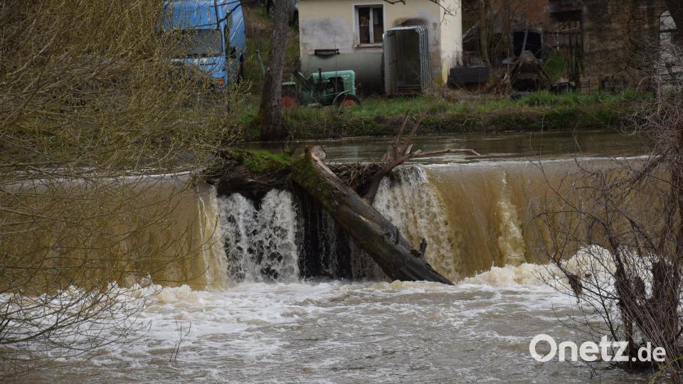 Größere Baumstämme haben sich im Triebwerkskanal der Vils in Emhof verfangen. Ein Albtraum für die Triebwerksbesitzer. Bild: bö