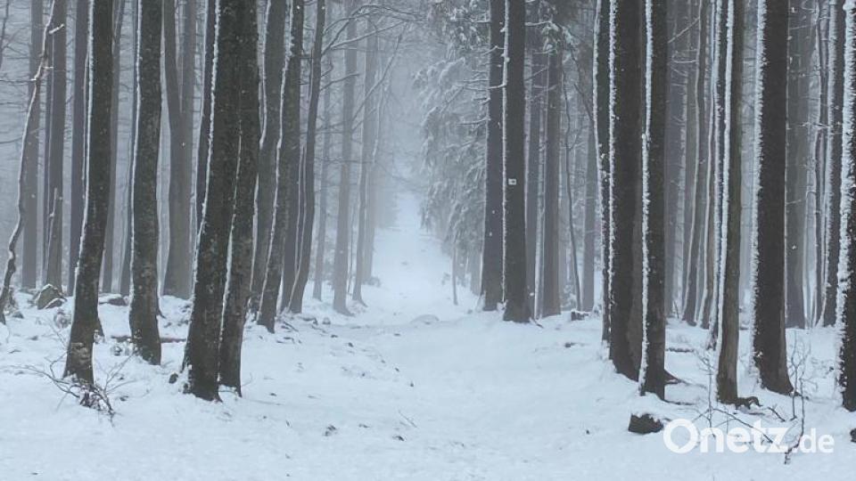 Am Lusen im Bayerischen Wald liegt Schnee. Bild: Paul Zaruba