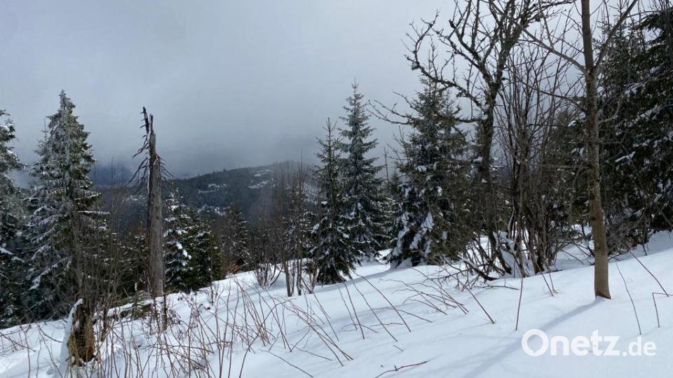 Am Lusen im Bayerischen Wald liegt Schnee. Bild: Paul Zaruba
