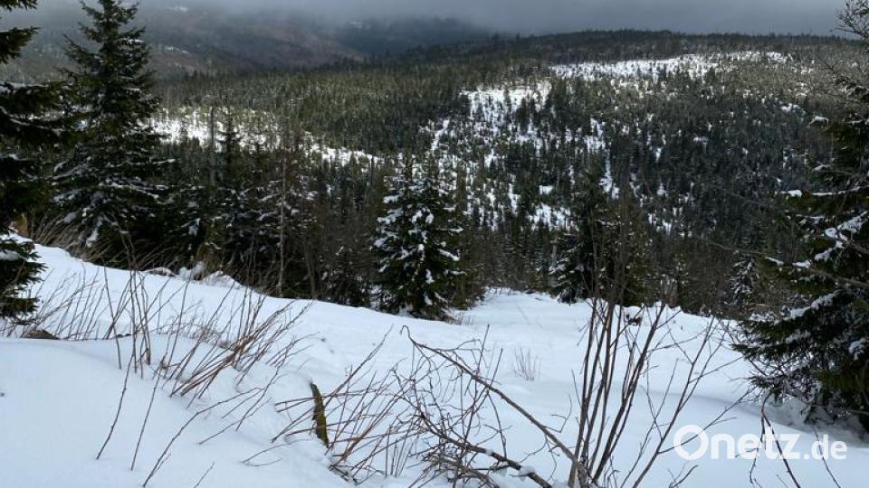 Am Lusen im Bayerischen Wald liegt Schnee. Bild: Paul Zaruba