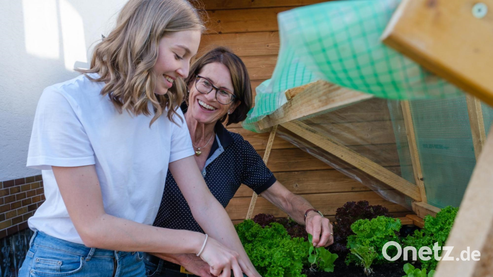 Junge Salatpflanzen ins Frühbeet setzen oder die Einfahrt kehren: Rund um Haus und Garten gibt es viel zu tun. Junge Leute können sich bei der Taschengeldbörse ein paar Euro verdienen. Bild: Günter Scharl