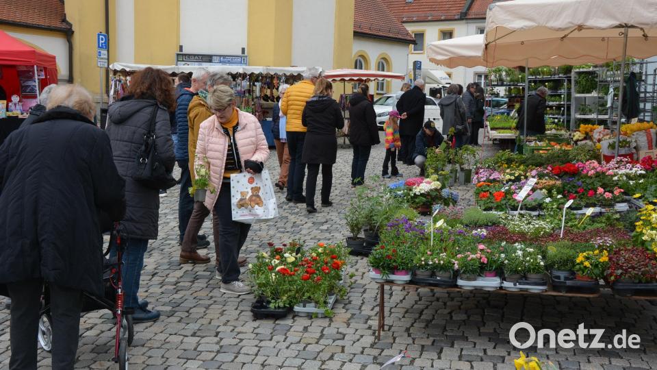Großes Interesse fand am Sonntag der traditionelle Ostermarkt in Mitterteich. Bild: jr
