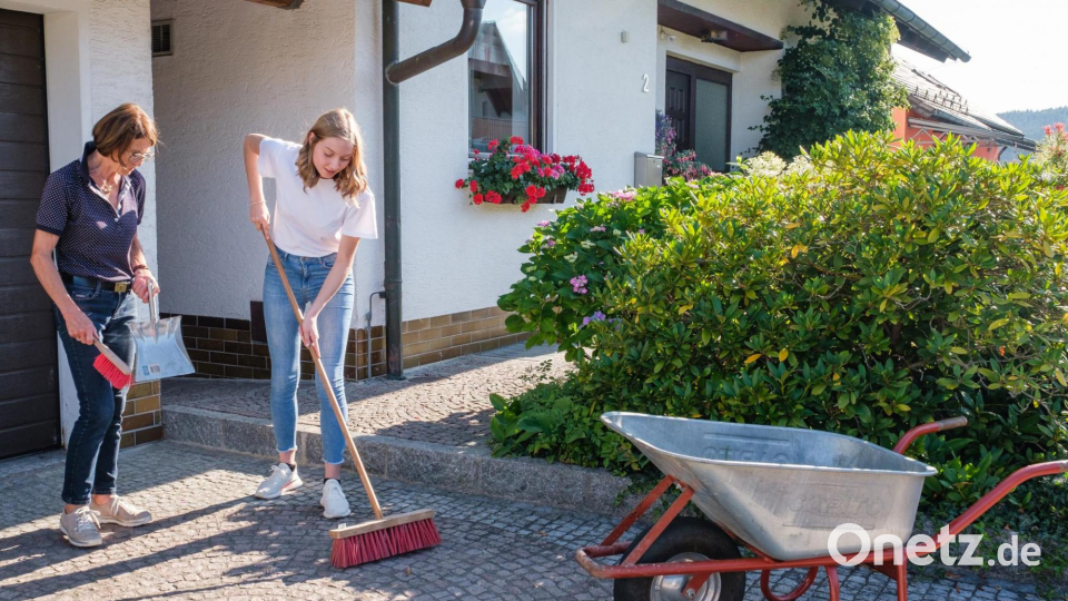 Junge Salatpflanzen ins Frühbeet setzen oder die Einfahrt kehren: Rund um Haus und Garten gibt es viel zu tun. Junge Leute können sich bei der Taschengeldbörse ein paar Euro verdienen. Bild: Günter Scharl