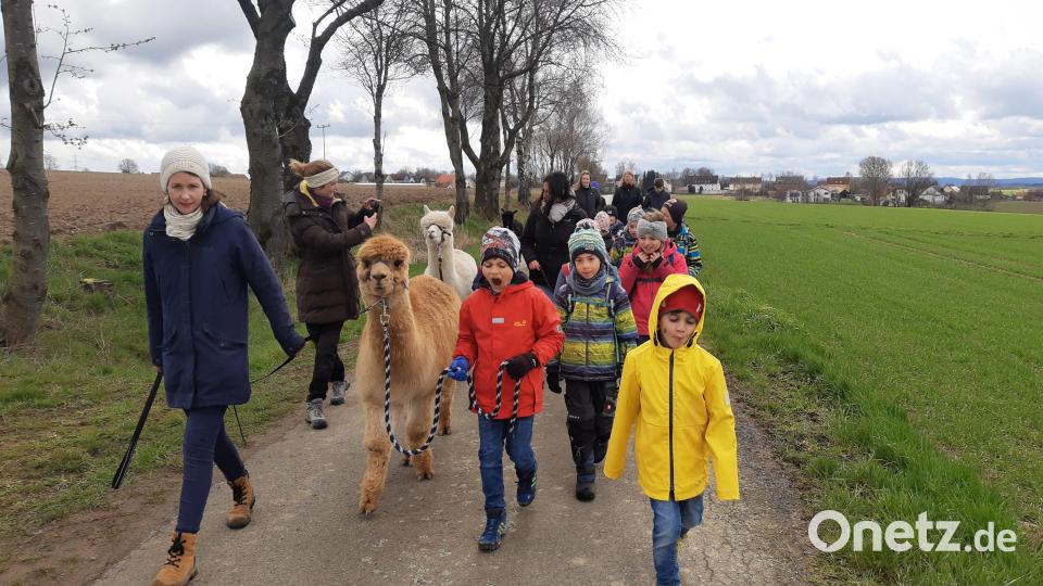 Die Kinder waren begeistert und marschierten mit den Alpakas durch die Flur. Bild: exb/Kaube