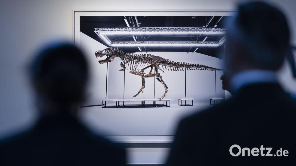 Besucher betrachten das Skelett eines Tyrannosaurus Rex während der Auktion des Auktionshauses Koller. Bild: Michael Buholzer/KEYSTONE/dpa