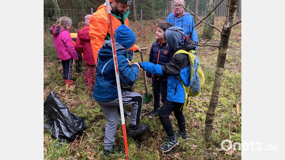 Mit großem Eifer waren die Drittklässler der Pestalozzischule beim Pflanzen von klimaresistenten Bäumen dabei. Bild: Kerstin Weigl/exb