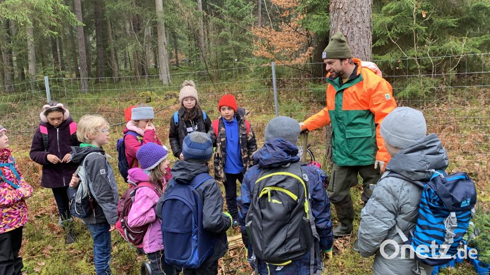 Kinder der Pestalozzischule kamen zu einer Baumpflanzaktion ins Waldgebiet Fatzen. Bild: Kerstin Weigl/exb