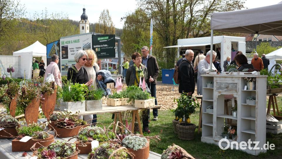 Die Besucher der Schwandorfer Gartentage trafen im Stadtpark auf ein reichhaltiges Angebot an Pflanzenarrangements. Bild: Hirsch