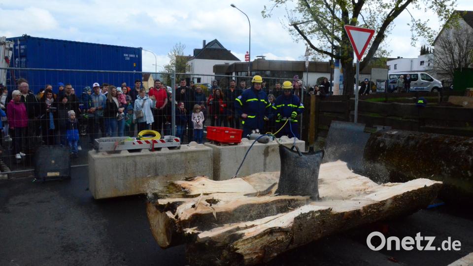 Mit Hilfe eines Hebekissens spaltete das THW einen dicken Baumstamm. Bild: Kunz