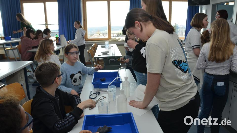Beim Tag der offenen Tür in der Realschule erleben die Besucher viel Interessantes, auch zum Mitmachen. Bild: dob