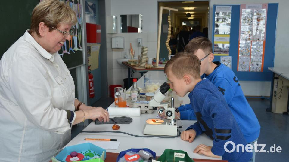 Neugierig ließen sich die interessierten Besucher durch Studienrätin Anneli Meinelt-Möbius aufklären. Bild: dob