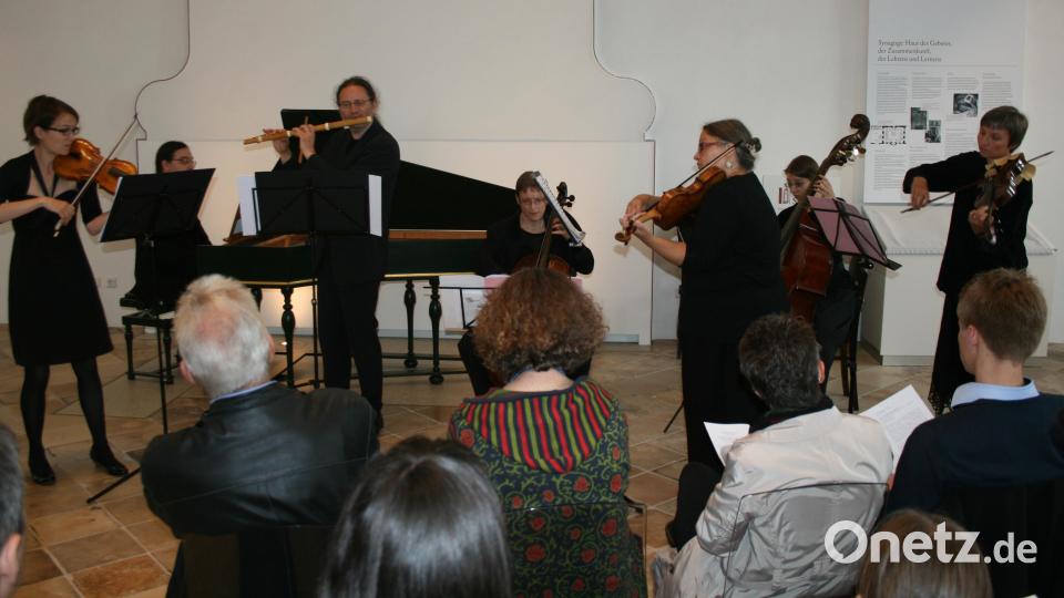 "Die Mondnacht der Flöte" begleitet am 7. Mai die Neue Nürnberger Ratsmusik. Archivbild: cog