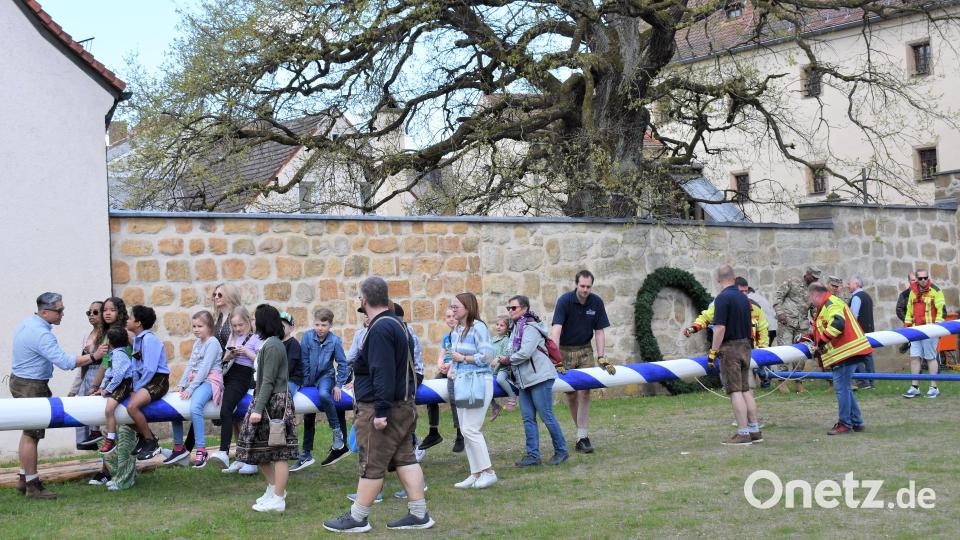 Viele Hände packen in Grafenwöhr beim Aufstellen des Maibaumes mit an. Bild: rgr