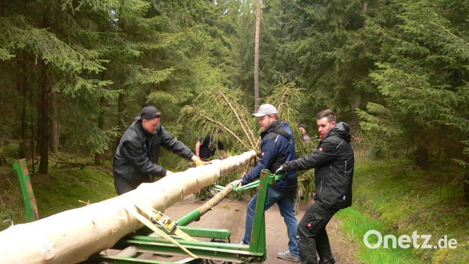 Am Sonntagvormittag holten starke Männer den Maibaum aus dem Kirchwald. Bild: mh