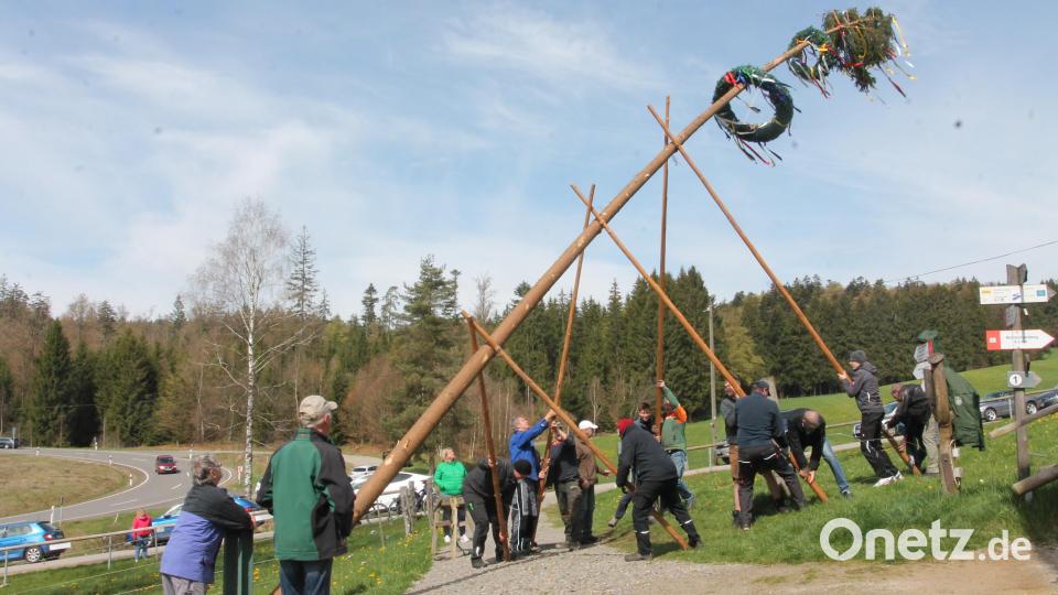 Auch beim OWV wird der Maibaum mit Muskelkraft aufgestellt. Bild: pi