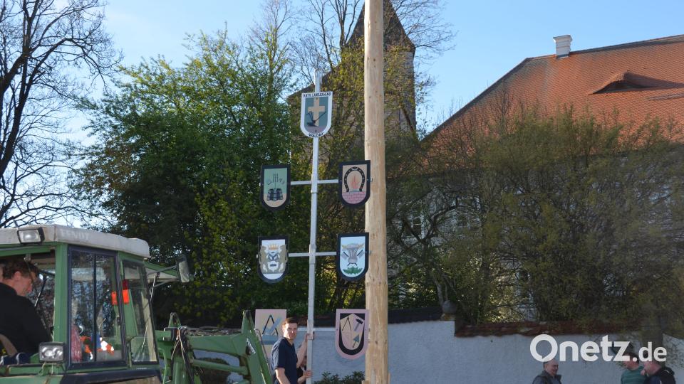Als Letztes wurden die Zunftzeichen an den Baum angebracht. Bild: dob