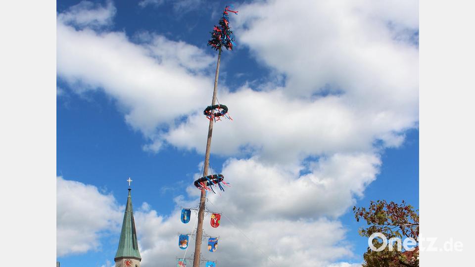 Die Feuerwehren aus Kemnath und Kötzersdorf unterstützen Baggerfahrer Thomas Zeitler. Bild: stg