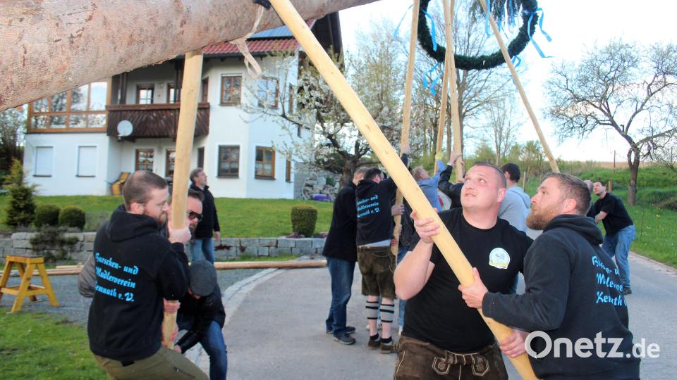 Mit körperlichem Einsatz hievten sie am Sonntag den Kuchenreuther Maibaum nach oben. Bild: stg