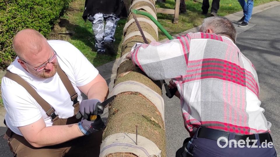 Vor dem Aufstellen wurde der Baum noch mit der Jahreszahl versehen, gerindet und mit zwei Kränzen und bunten Bändern versehen Bild: lgc