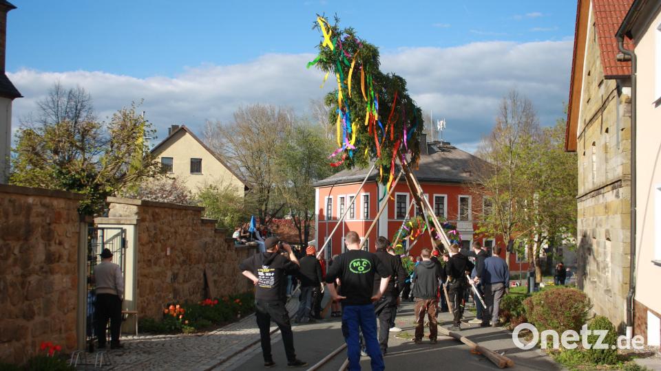 Lediglich mit Schwalben und Muskelkraft wurde in Oberbibrach der Maibaum aufgestellt. Bild: edo