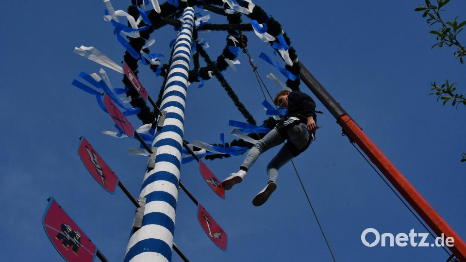 Thomas Koller dekoriert den Schirmitzer Maibaum in schwindelerregender Höhe. Bild: hcz