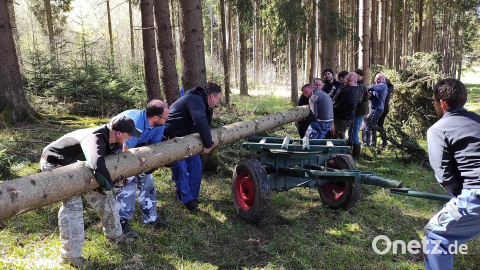 Bereits im Wald war Muskelkraft gefragt. Von dort aus ging es dann mit dem Traktorgespann direkt in den Ort. Bild: lgc