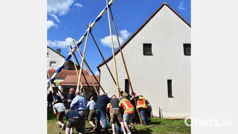 Viele Hände packen in Grafenwöhr beim Aufstellen des Maibaumes mit an. Bild: rgr