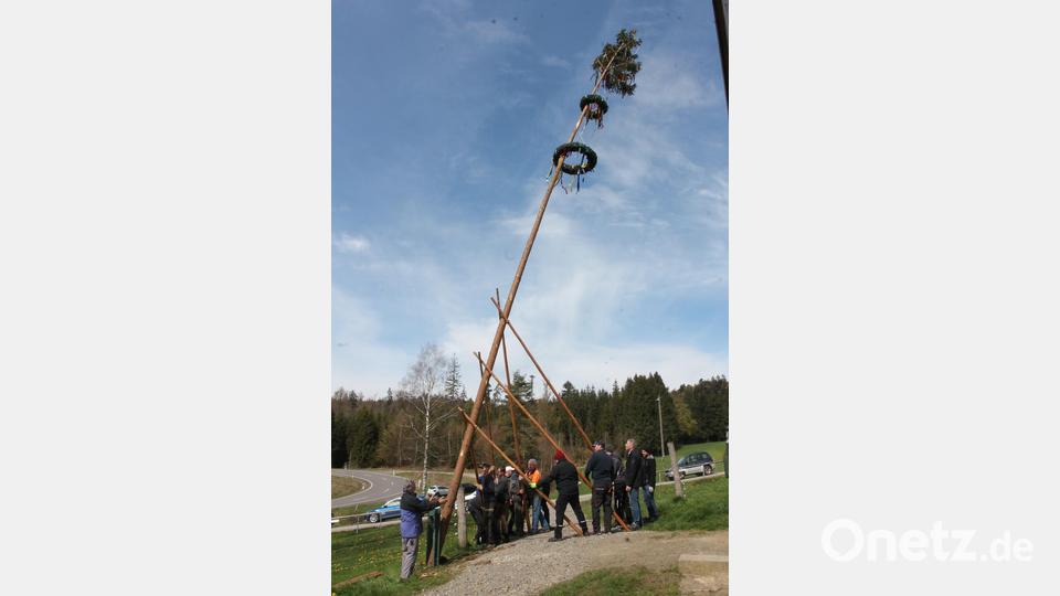 Auch beim OWV wird der Maibaum mit Muskelkraft aufgestellt. Bild: pi