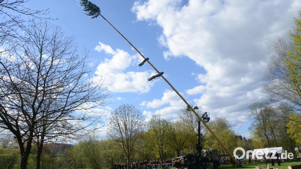 Maibaumaufstellen Pleystein Bild: bey